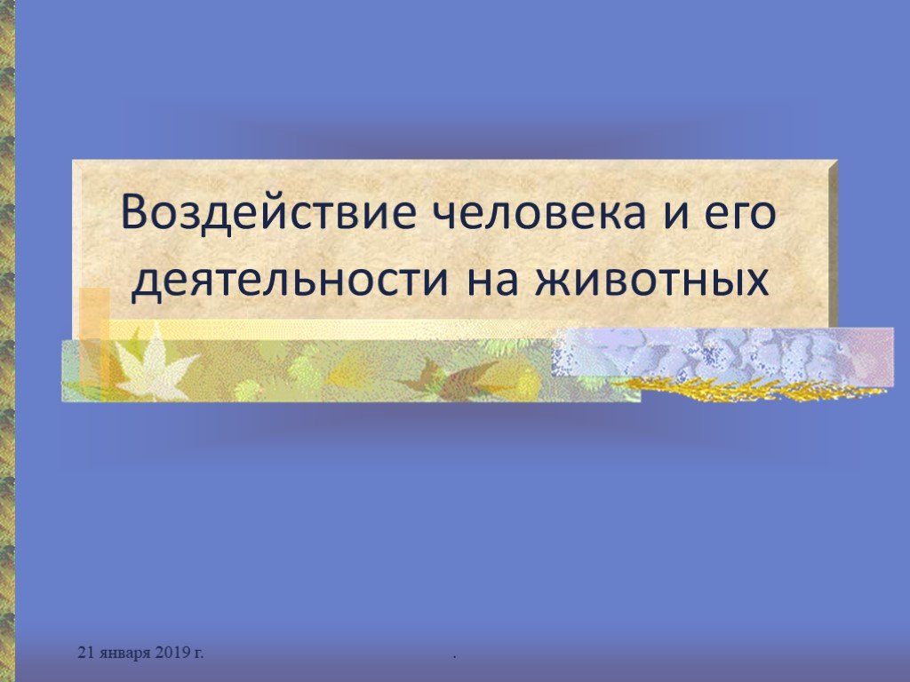 Воздействие человека на животный мир 7 класс презентация