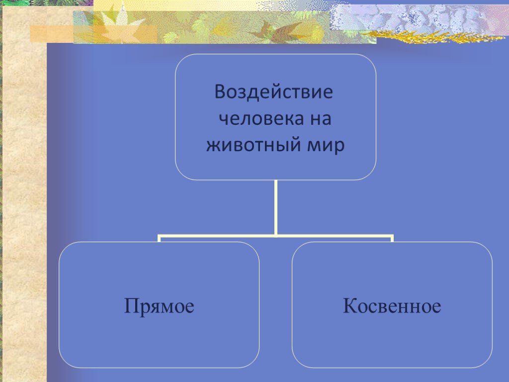 Влияние человека на животных 7 класс презентация