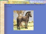 Немногим больше 100 лет назад исчезла дикая лошадь тарпан, обитавшая на юге России.