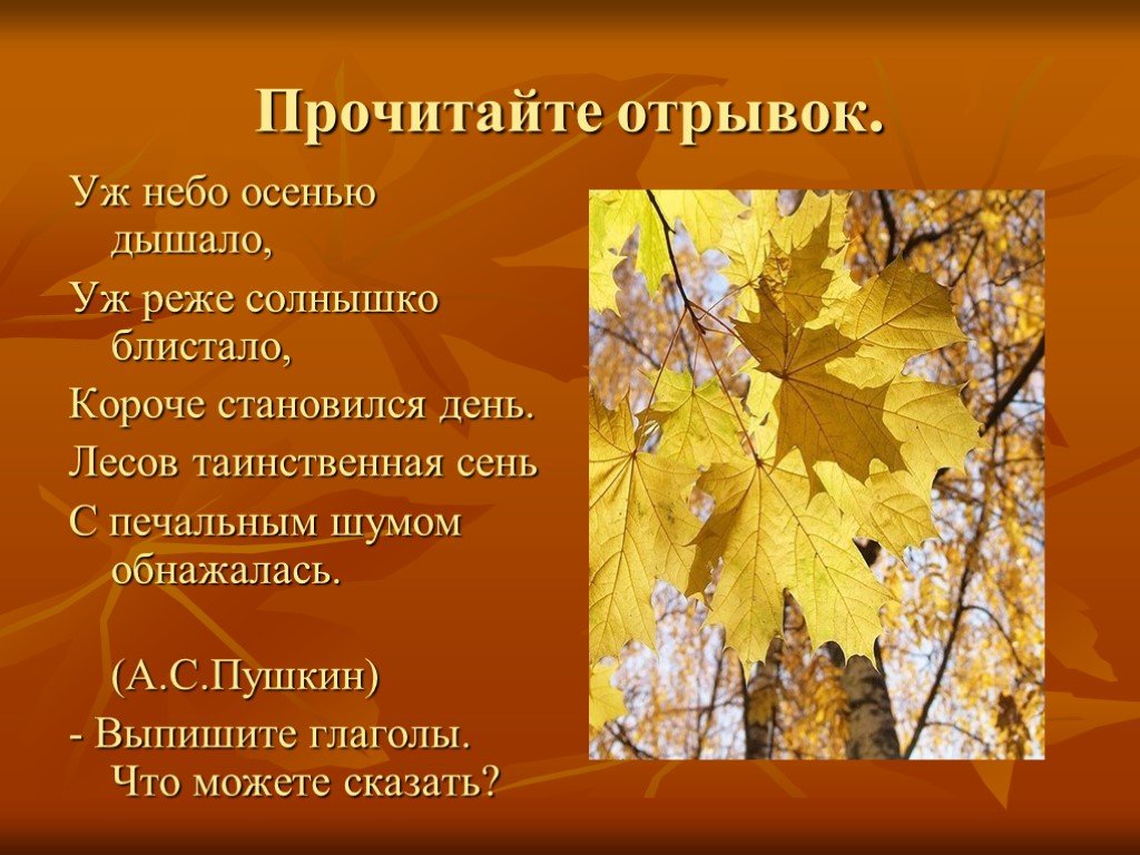 Таинственная сень что это. Уж небо осенью дышало отрывок. Отрывок Пушкина уж небо осенью дышало. Осень отрывок. Лесов Таинственная сень с печальным шумом.