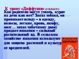 К уроку «Диффузия» (7 КЛАСС). Как родители могут узнать, курят их дети или нет? Запах табака, он проникает всюду – в одежду, волосы, легкие, кровь, лимфу, мозг… запах табачному дыму придает никотин – сильный растительный яд. В сельском хозяйстве никотин используют для защиты растений и культур от вр