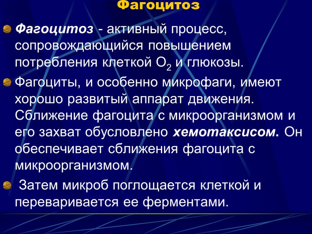 Процесс сопровождающийся. Фагоцитоз. Процесс фагоцитоза. Фагоцитоз физиология. Фагоцитоз презентация.