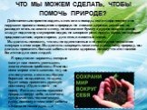 ЧТО МЫ МОЖЕМ СДЕЛАТЬ, ЧТОБЫ ПОМОЧЬ ПРИРОДЕ? Действительно приятно ходить в лес или в походы, если люди помнят и не нарушают правила поведения в природе: не ломают деревья, растения, не разводят огонь на земле в лесу, не оставляют бумагу и другие вещи на земле, кладут подстилку в мусорное ведро, не з