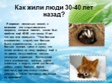 Как жили люди 30-40 лет назад? Я опросил несколько семей, в основном это люди пожилого возраста, которые помнят, каким был посёлок ещё 40-50 лет назад. И вот что они мне поведали: "Чем больше становилось людей, тем больше было строительства, а, значит, больше мусора, грязи и шума, что плохо вли