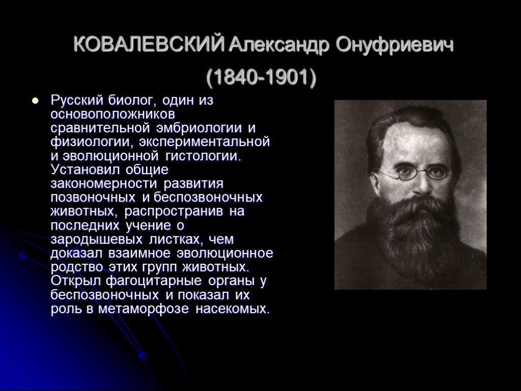 Биологи сделавшие открытие. Ковалевский Александр Онуфриевич ученый. Ковалевский вклад в биологию. Ковалевский Александр Онуфриевич биолог России. Александру Онуфриевичу Ковалевскому (1840-1901)..