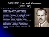 ВАВИЛОВ Николай Иванович (1887-1943). Советский биолог, генетик, основоположник современного учения о биологических основах селекции и учения о центрах происхождения культурных растений. Установил древние очаги формообразования культурных растений на территории стран Средиземноморья, Северной Африки