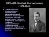 КОЛЬЦОВ Николай Константинович (1872-1940). Советский биолог, основоположник отечественной экспериментальной биологии. Первым (1928) разработал гипотезу молекулярного строения и матричной репродукции хромосом, предвосхитившую принципиальные положения современной молекулярной биологии и генетики.