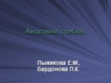Анатомия стебля. Пыжикова Е.М., Бардонова Л.К.