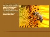 Уникальный природный продукт - пчелиный воск - до сих пор таит в себе загадки, открывая возможные области своего применения. Ученым так и не удалось синтезировать этот продукт искусственно, заставляя людей в очередной раз обращаться к своим маленьким благородным помощникам, пчелам.