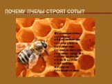 Почему пчелы строят соты? Медоносные пчелы - насекомые общественные. Для хранения меда и выращивания потомства они строят семейное гнездо. Оно состоит из восьми сотов. В качестве строительного материала используется воск.