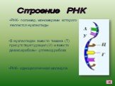 Строение РНК. В нуклеотидах вместо тимина (Т) присутствует урацил (У) и вместо дезоксирибозы- углевод рибоза РНК- одноцепочечная молекула. РНК- полимер, мономерами которого являются нуклеотиды