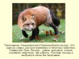 Талисманом Национального Парка выбрали лисицу. Это одно из самых распространённых и типичных животных Самарской Луки. Лисица – умное, красивое, хитрое, «лукавое» животное, как и Волга. Поэтому лисицу и выбрали в качестве талисмана.