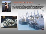Мировая добыча рыбы и морепродуктов достигла 110 млн. в год. Рыболовство – отрасль мирового хозяйства, обеспечивающая существование 15 млн. человек. Более 90% общемирового улова рыбы и нерыбных объектов приходится на шельфовую зону.