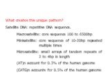 What creates this unique pattern? Satellite DNA: repetitive DNA sequence. Macrosatellite: core sequence 100 to 6500bp Minisatellite: core sequence of 10-20bp repeated multiple times Microsatellite: small arrays of tandem repeats of 2 to 4bp in length (AT)n account for 0.3% of the human genome (CATG)