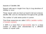 Repeats of Satellite DNA Repeat units vary in length from 2bp to long stretches of 6000bp or more These repeat units are lined up head to tail and compose satellite DNA and are interspersed throughout the genome The number of units varies person to person Thus these sequences are called VNTRs (varia