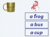 a frog a bus a cup