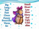 Big Long Tall Fast Clean Funny Beautiful Warm fat. Small Short Low Slow Dirty Sad Ugly Cold slim