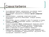 Схема Kerberos. Аутентификация Kerberos предназначена для решения задачи аутентификации субъектов в распределенной системе, использующей открытую сеть, с помощью третьей доверенной стороны. Система Kerberos , владеющая секретными ключами обслуживаемых субъектов, обеспечивает попарную проверку подлин