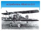 истребитель Albatros D.II
