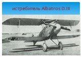 истребитель Albatros D.III