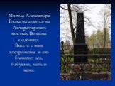 Могила Александра Блока находится на Литераторских мостках Волкова кладбища. Вместе с ним захоронены и его близкие: дед, бабушка, мать и жена.