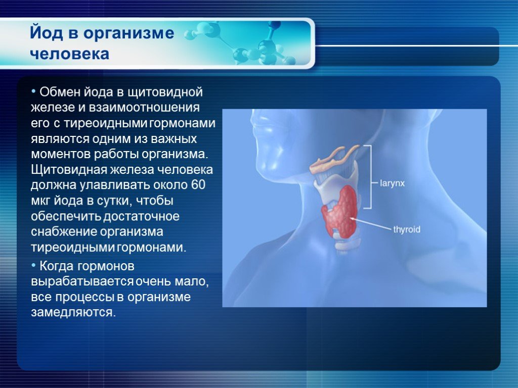 Йод при заболевании щитовидной. Йод в организме. Организм человека щитовидка. Щитовидная железа в организме человека.