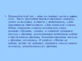 Краеведческий зал - одно из святых мест в нашем селе. Здесь проходят торжественные линейки, уроки мужества, встречи с ветеранами, «Дни защитников Отечества», «Дни воинской славы». Юные краеведы создали рукописную книгу памяти «Память, храня», в которой хранятся письма с фронта, воспоминания ветерано