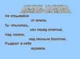 Не отрывайся от земли, Ты слышишь, как перед отлетом, Над полем, над лесным болотом, Рыдают в небе журавли. МОЯ ЗЕМЛЯ - МОИ ЗЕМЛЯКИ