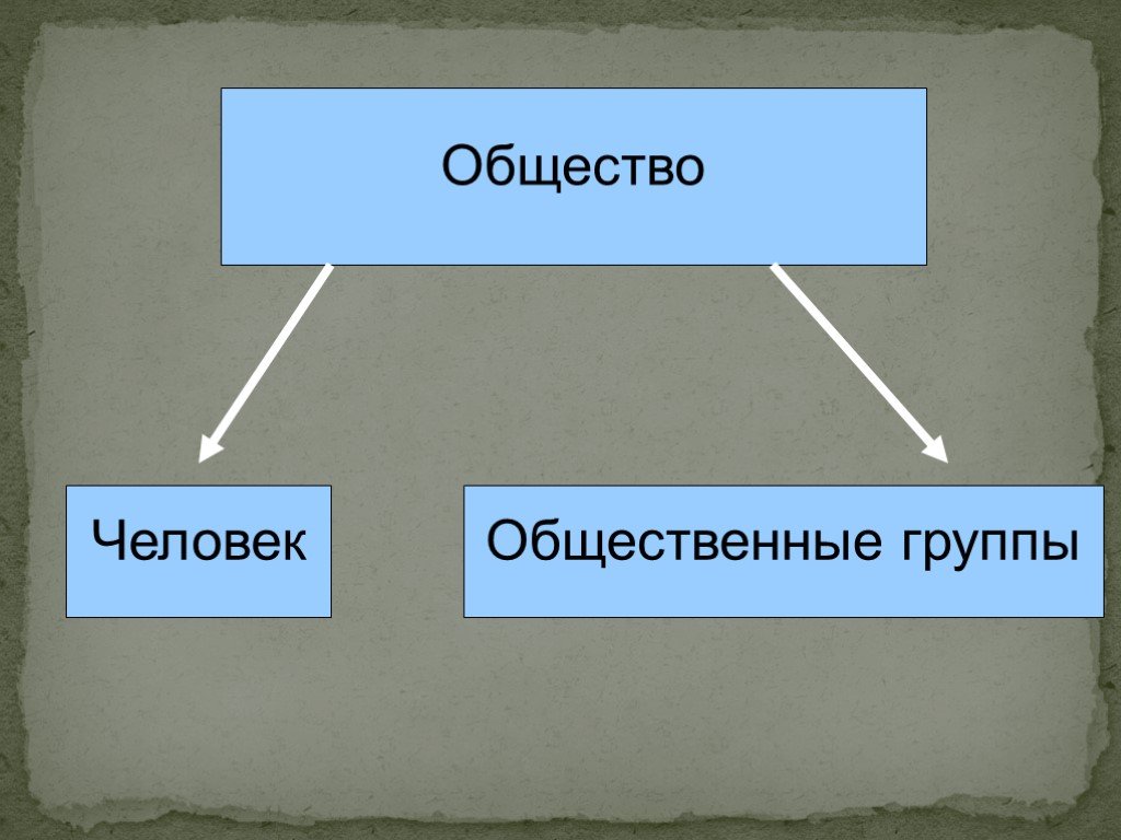 Презентация на тему что изучает обществознание