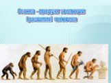 Осанка - продукт эволюции (развития) человека