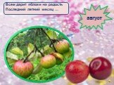 Всем дарит яблоки на радость Последний летний месяц …. август