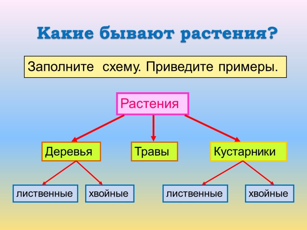 Дополни схему условия жизни животных