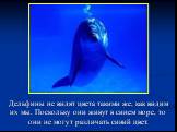 Дельфины не видят цвета такими же, как видим их мы. Поскольку они живут в синем море, то они не могут различать синий цвет.
