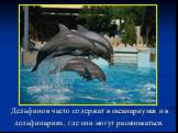 Дельфинов часто содержат в океанариумах и в дельфинариях, где они могут размножаться.