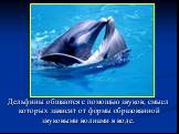 Дельфины общаются с помощью звуков, смысл которых зависит от формы образованной звуковыми волнами в воде.