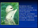 Дельфины могут общаться и жестами - принимать разные позы, делать прыжки, повороты, различные способы плавания, знаки, подаваемые хвостом, головой, плавниками.