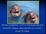 Длина дельфинов 1,2-10 м. У большинства есть спинной плавник, морда вытянута в «клюв», более 70 зубов.