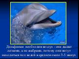 Дельфинам необходим воздух - они дышат легкими, а не жабрами, потому они могут находиться под водой в среднем около 3-5 минут.
