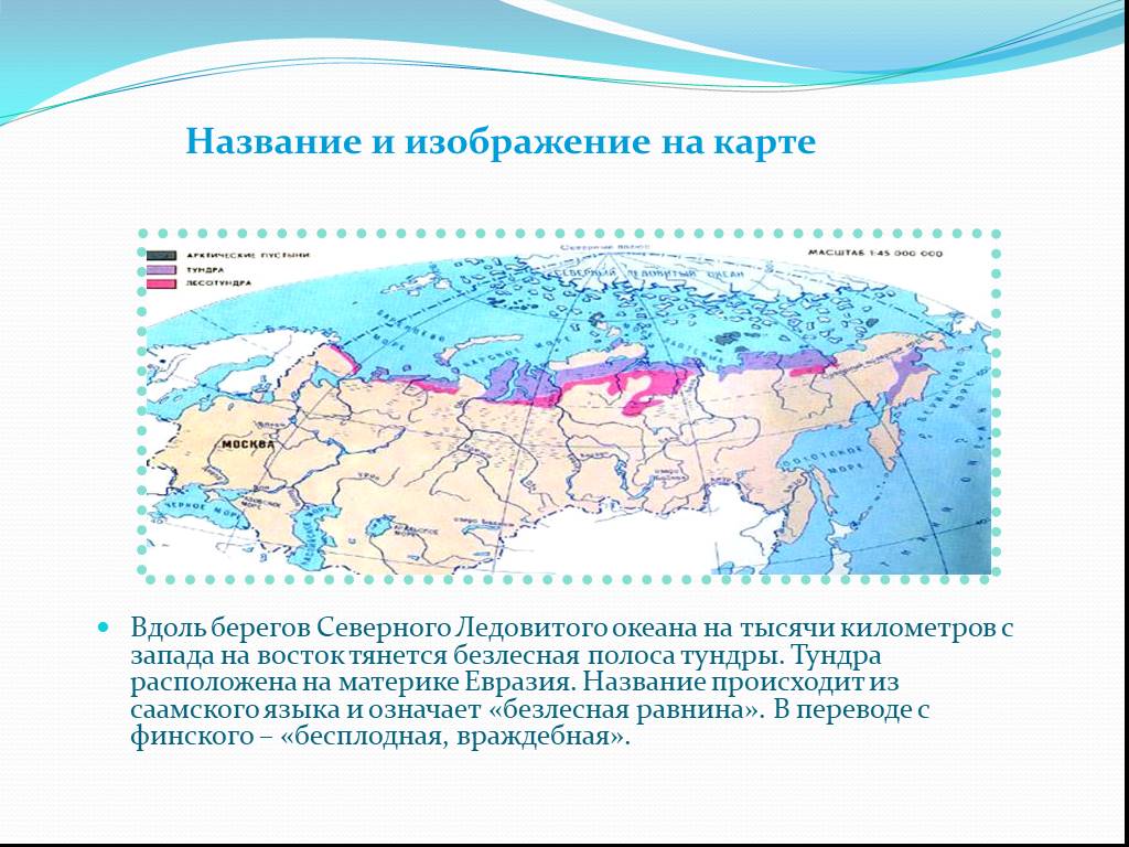 Тундра относительно морей и океанов. Географическое положение зоны тундры в России. Тундра расположение природной зоны. Карта природных зон России Северного Ледовитого океана. Тундра изображение на карте природных зон.