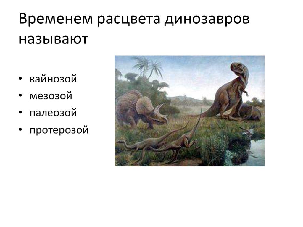 Мезозойская эра расцвет. Жизни в мезозое и кайнозое. Эра и период расцвета динозавров.. Кайнозой. Развитие жизни в мезозое и кайнозое.