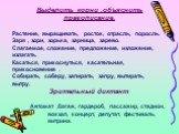 Выделить корни ,объяснить правописание. Растение, выращивать, росток, отрасль, поросль. Заря , зори, зорька, зарница, зарево. Слагаемое, сложение, предложение, изложение, излагать. Касаться, прикоснуться, касательная, прикосновение . Собирать, соберу, запирать, запру, вытирать, вытру. Зрительный дик