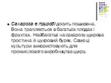 Сахароза в природі досить поширена. Вона трапляється в багатьох плодах і фруктах. Найбагатші на сахарозу цукрова тростина й цукровий буряк. Саме ці культури використовують для промислового виробництва цукру.