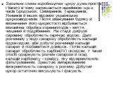 Загальна схема виробництва цукру дуже проста і багато в чому залишається незмінною ще з часів Бродських, Симиренків, Терещенків, Яхненків й інших відомих українських цукрозаводчиків. Після зважування буряку й визначення його цукристості відбувається механічна обробка коренеплодів - миття, чищення й 