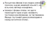 Ланцюгова форма існує лише в розчинах, причому в дуже невеликій кількості, а в вільному вигляді не виділена. Ізомерні форми сполук, які здатні переходити одна в одну називають таутомерними формами, чи таутомерами. Явище таутомерії дуже розповсюджене серед органічних сполук.