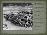 Тысячи мертвых тел в Дахау, найденные после освобождения лагеря британскими войсками 20 апреля 1945 года. Около 60000 содержавшихся здесь гражданских лиц, ставших жертвами сыпного тифа, брюшного тифа и дизентерии, умирали сотнями ежедневно, несмотря на отчаянные усилия медицинского персонала, в спеш