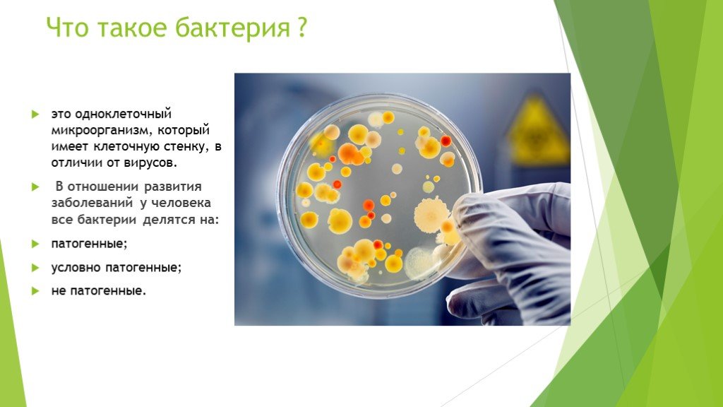 1 бактериальное заболевание. Заболевания от бактерий у человека. Бактериальные заболевания презентация. Бактериальные инфекции бактерии.