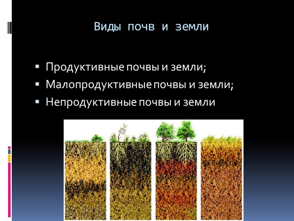 Почва является системой. Почва. Виды почв. Почва виды почв. Малопродуктивные почвы.