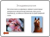 Эпидемиология. Источником инфекции служат некоторые домашние животные (лошадь, мул, осел, верблюд), особенно больные острой формой сапа.