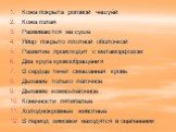 Кожа покрыта роговой чешуёй Кожа голая Развиваются на суше Яйцо покрыто плотной оболочкой Развитие происходит с метаморфозом Два круга кровообращения В сердце течёт смешанная кровь Дыхание только лёгочное Дыхание кожно-лёгочное Конечности пятипалые Холоднокровные животные В период зимовки находятся 