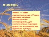 ЯЧМЕНЬ. Ячмень — самая распространенная в России зерновая культура. Используют его в пивоварении, для приготовления перловой крупы, но в основном, как фуражную культуру.